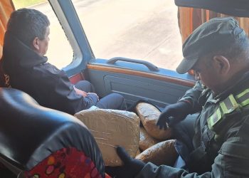 Gendarmes secuestraron marihuana en un micro que partió de Formosa