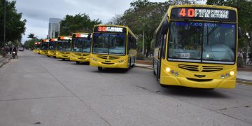 Colectivos: CDS abandonaría Formosa pero hoy adeuda 3 millones de pesos a cada trabajador