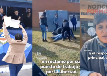 Denuncian “represión policial” después que una enfermera despedida mostró un cartel a Gildo Insfrán; está detenida (videos)