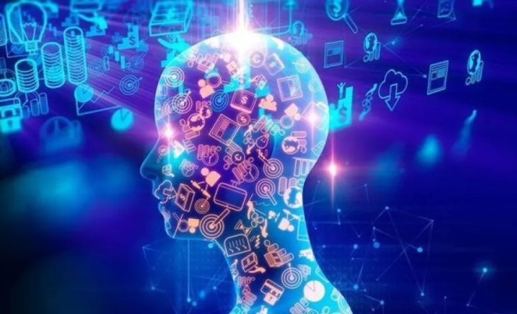 ¿Es la Economía del Conocimiento una oportunidad para Formosa?