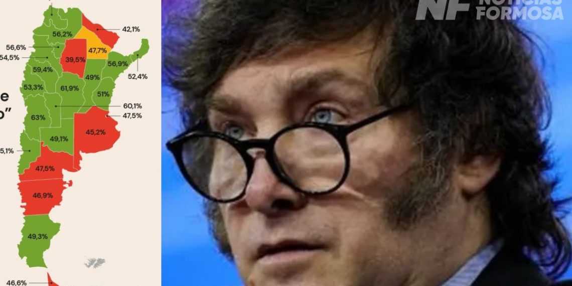Formosa, entre las provincias en donde Milei es más «odiado» que «amado»