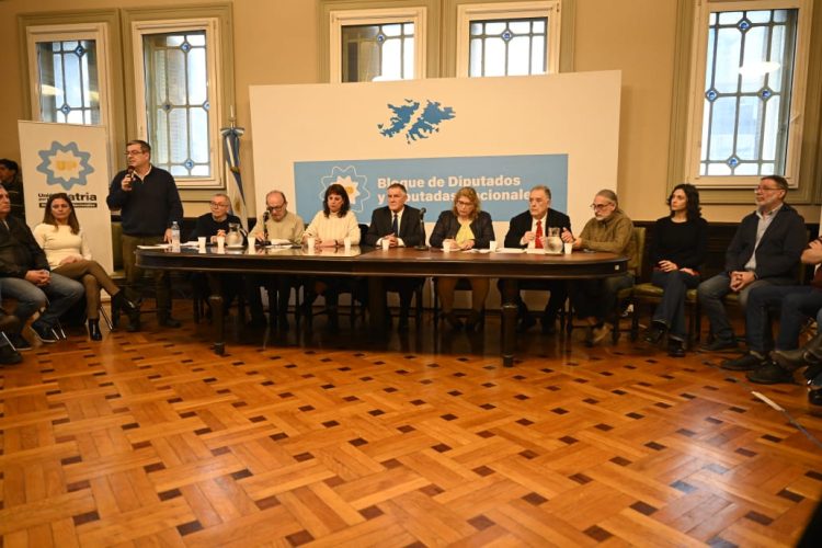 Basterra y Fernández Patri denunciaron a Bullrich por agresiones recibidas en la protesta del Congreso