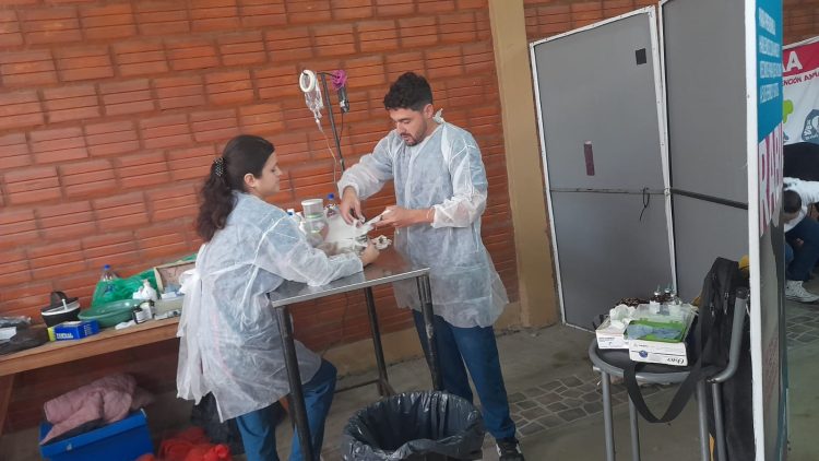Llevaron a cabo una jornada de castración de mascotas en el barrio San Pedro