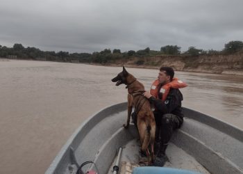Encontraron una campera de Bernachea; lo buscan con perros y drones