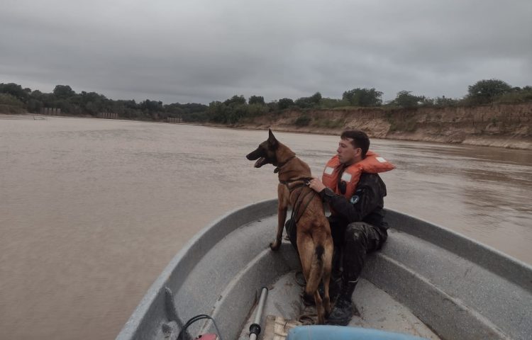 Encontraron una campera de Bernachea; lo buscan con perros y drones