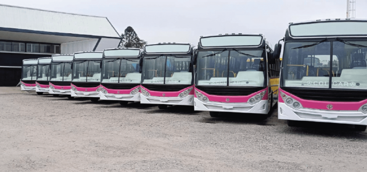 Jofré evalúa habilitar viajes gratis los primeros días que Fermoza retome el transporte urbano