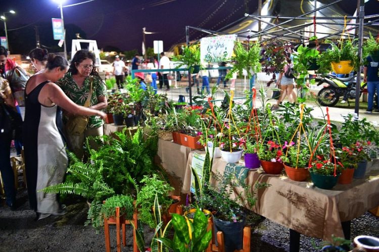 El domingo se realiza la 6ta Edición de la “Expo Viveros” en el Paseo Ferrovivario