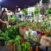 El domingo se realiza la 6ta Edición de la “Expo Viveros” en el Paseo Ferrovivario