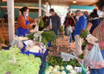 Este miércoles 19 la feria PAIPPA funcionará en el barrio La Paz y Grotti al 1.000