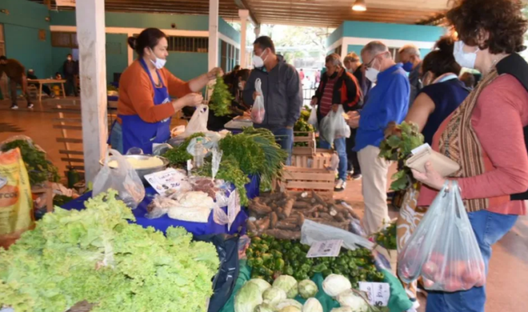Este miércoles 19 la feria PAIPPA funcionará en el barrio La Paz y Grotti al 1.000