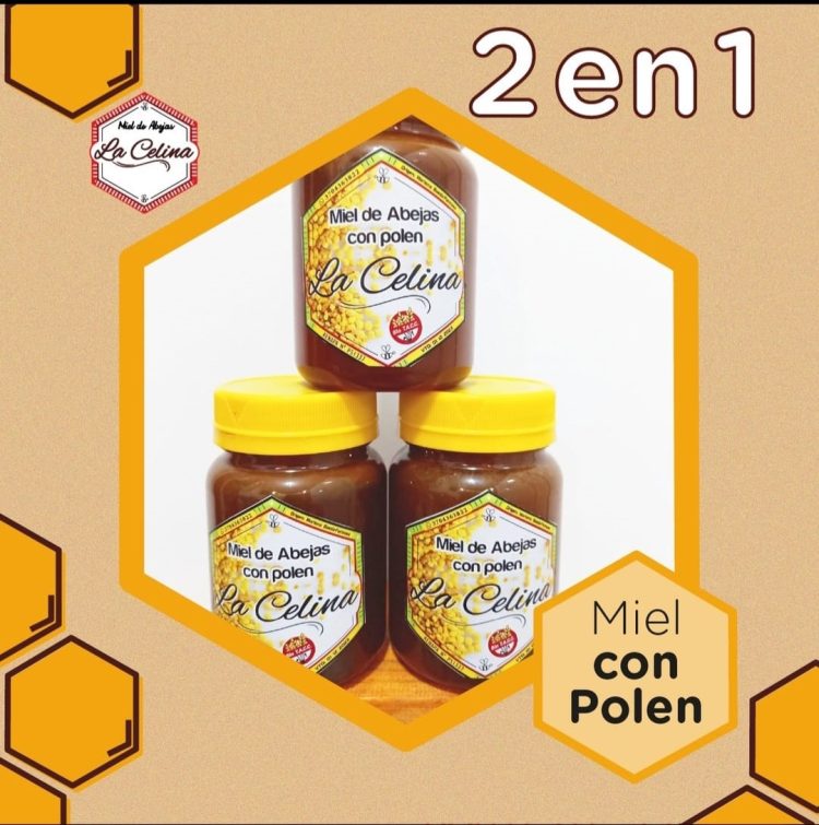 Miel de abejas «La Celina», un emprendimiento formoseño «de calidad»