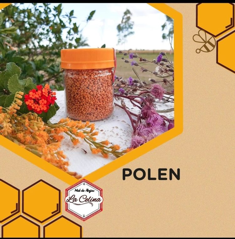 Miel de abejas «La Celina», un emprendimiento formoseño «de calidad»