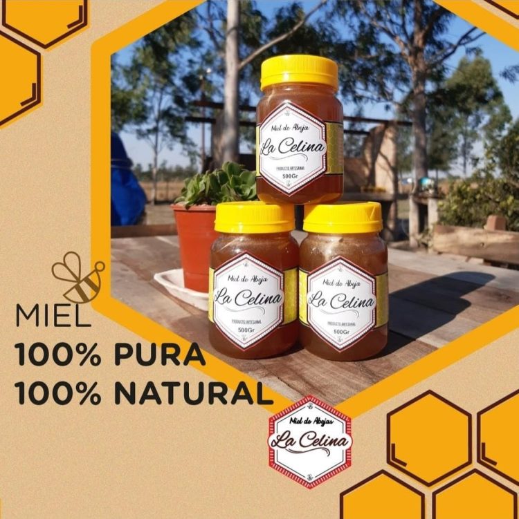 Miel de abejas «La Celina», un emprendimiento formoseño «de calidad»