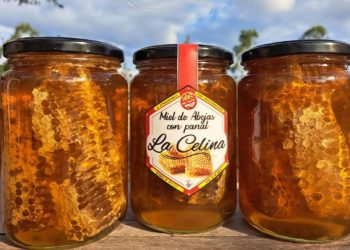 Miel de abejas «La Celina», un emprendimiento formoseño «de calidad»