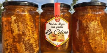 Miel de abejas «La Celina», un emprendimiento formoseño «de calidad»