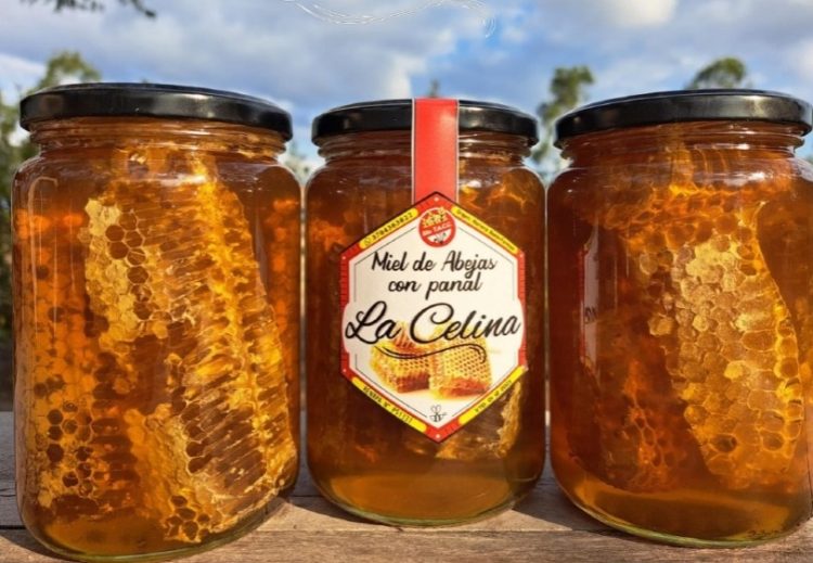 Miel de abejas «La Celina», un emprendimiento formoseño «de calidad»