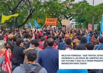 El «Partido de La Libertad Avanza Formosa» obtuvo el reconocimiento provisorio de la Justicia Electoral