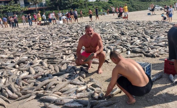 Formoseño participó de un concurso y pescó 15.000 piezas de tainha