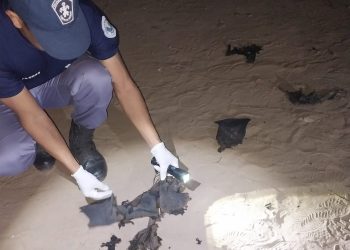 Discutió con su pareja, se roció con alcohol y se prendió fuego 