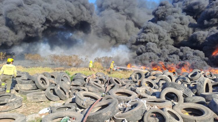 En sólo tres meses, hubo 232 incendios de pastizales y campos