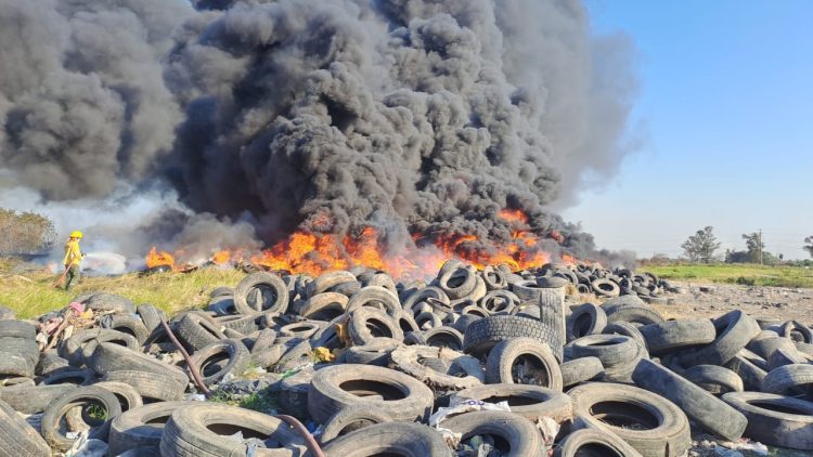 En sólo tres meses, hubo 232 incendios de pastizales y campos