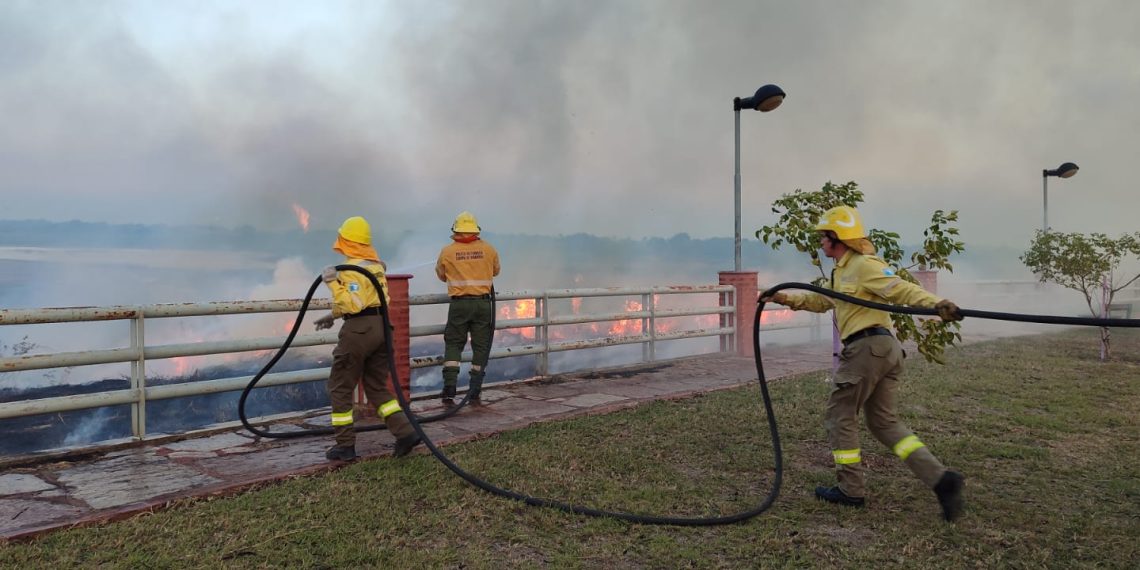 En sólo tres meses, hubo 232 incendios de pastizales y campos