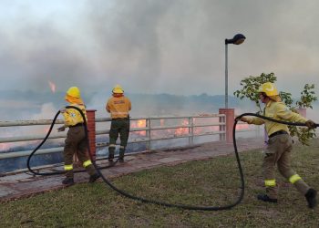En sólo tres meses, hubo 232 incendios de pastizales y campos