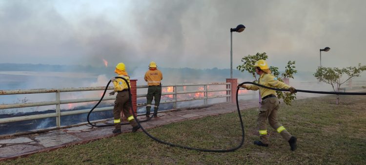 En sólo tres meses, hubo 232 incendios de pastizales y campos