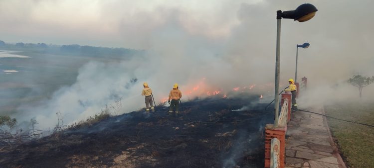 En sólo tres meses, hubo 232 incendios de pastizales y campos