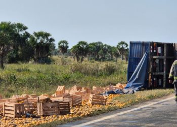 Volcó un camión en la ruta 11, cerca de Guaycolec