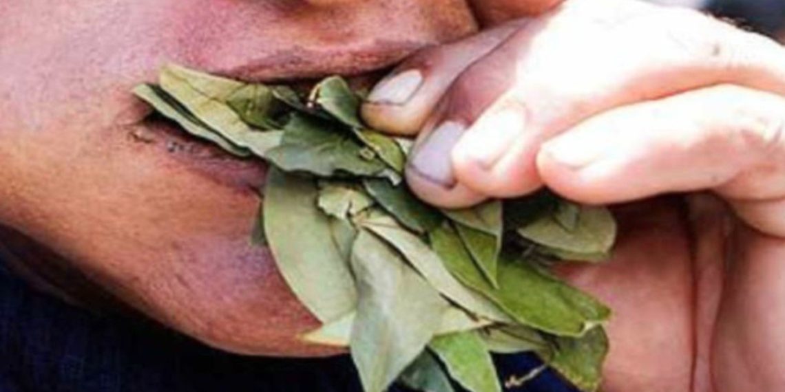 Preventivamente separan del servicio a agentes de policía por consumo de hojas de coca