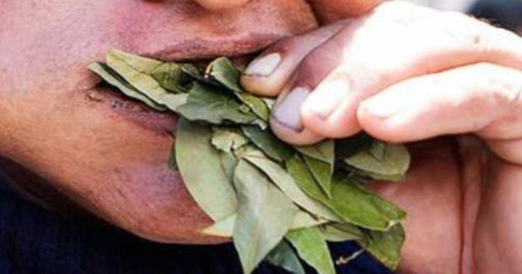 Preventivamente separan del servicio a agentes de policía por consumo de hojas de coca