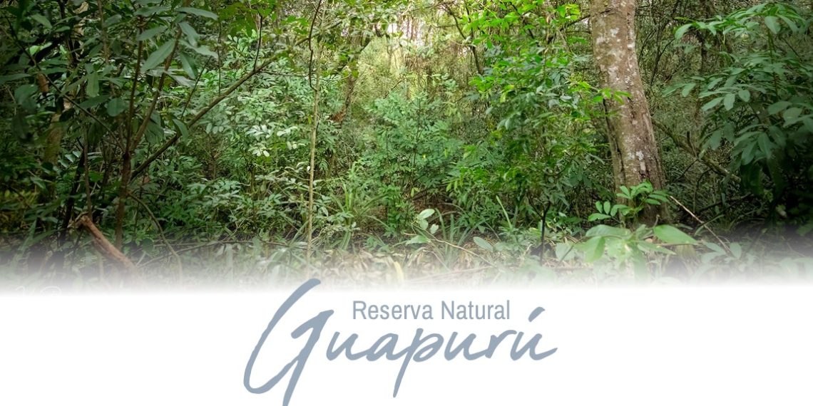 Conocés la Reserva Guapurú de Formosa?