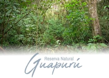 Conocés la Reserva Guapurú de Formosa?
