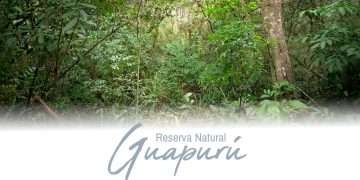 Conocés la Reserva Guapurú de Formosa?