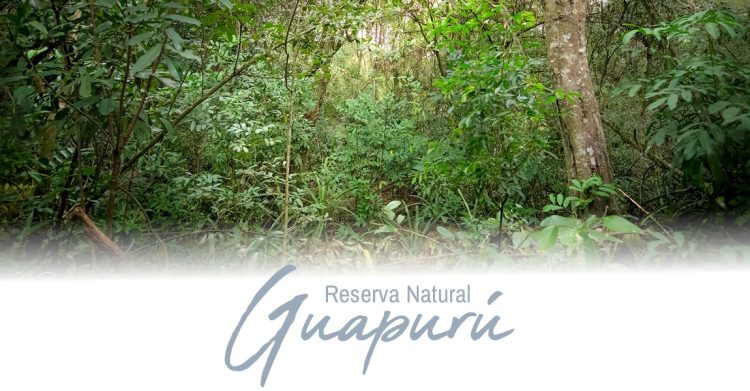 Conocés la Reserva Guapurú de Formosa?