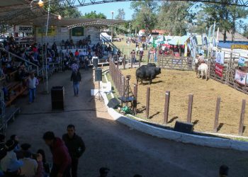 Vuelve la Expo Formosa: se llevará a cabo del 5 al 8 de septiembre