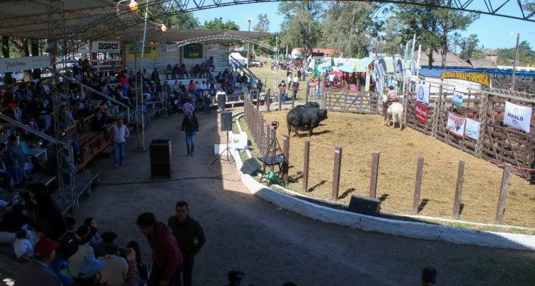 Vuelve la Expo Formosa: se llevará a cabo del 5 al 8 de septiembre