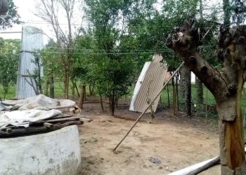 Fuerte temporal de lluvia y viento en Siete Palmas