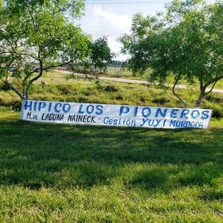Murió un caballo tras una carrera cuadrera en Naineck