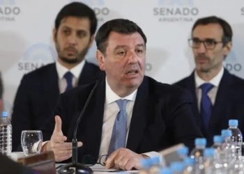 Lijo en el Senado sobre The Old Found: descartó “gestiones judiciales” y explicó porque devolvió la causa a Formosa