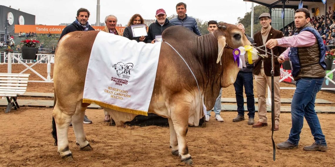 Cabaña de Las Lomitas compitió en la Expo Palermo y trajeron el premio mayor