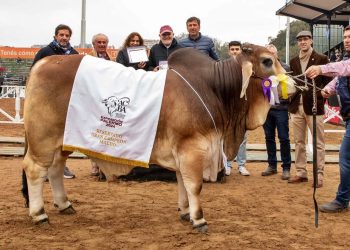 Cabaña de Las Lomitas compitió en la Expo Palermo y trajeron el premio mayor