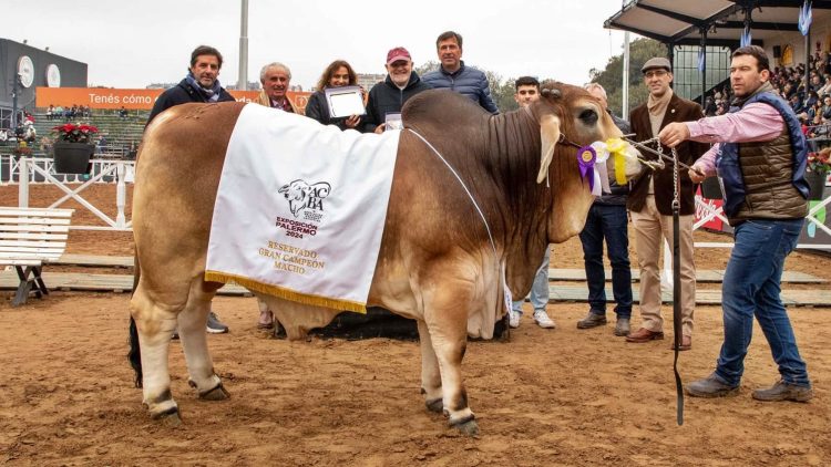 Cabaña de Las Lomitas compitió en la Expo Palermo y trajeron el premio mayor