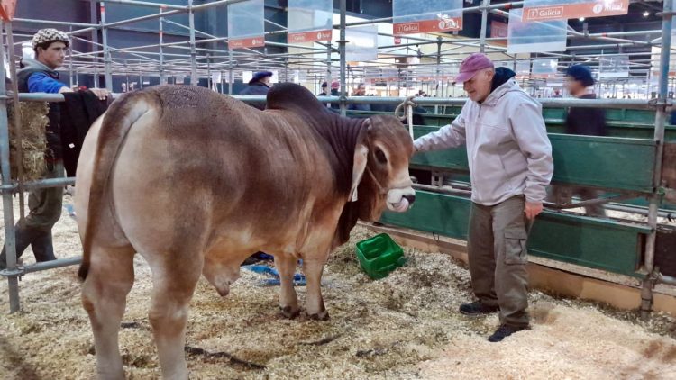 Cabaña de Las Lomitas compitió en la Expo Palermo y trajeron el premio mayor