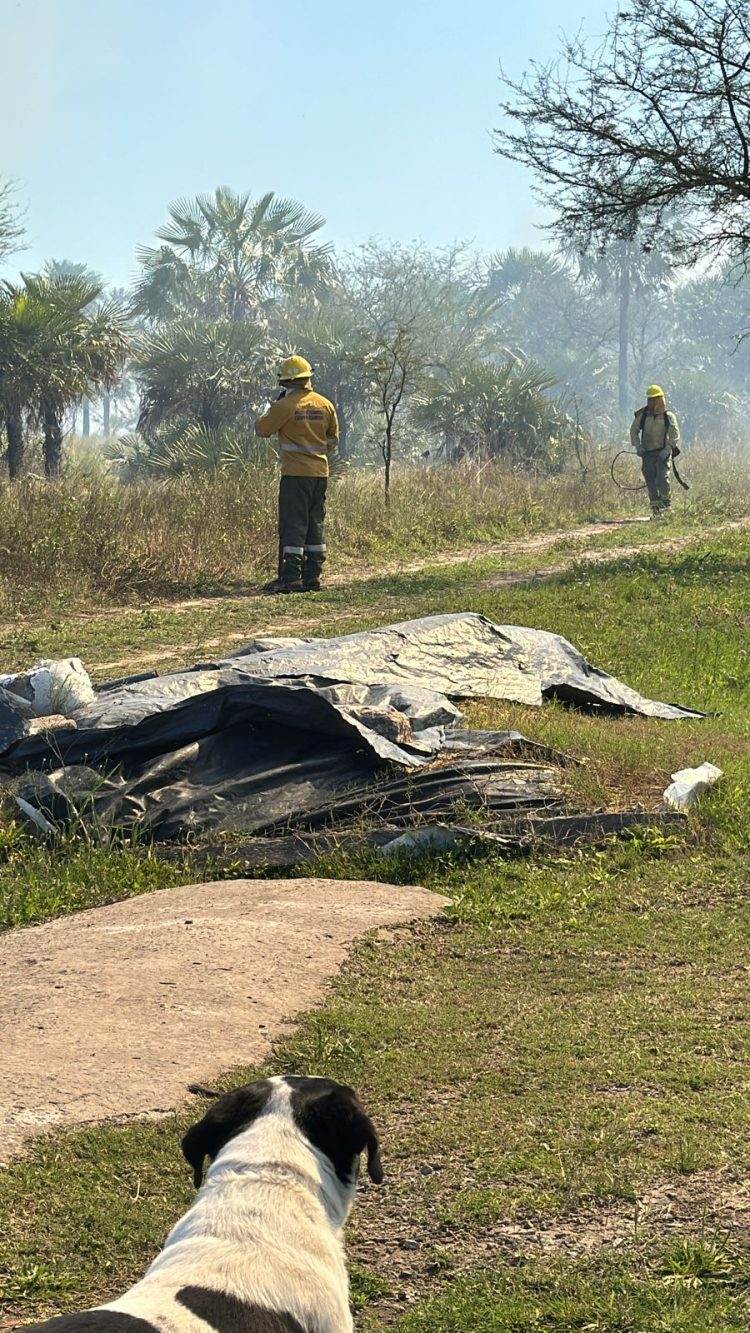 Bomberos extinguió un incendio de pastizales y campo (video de drone)