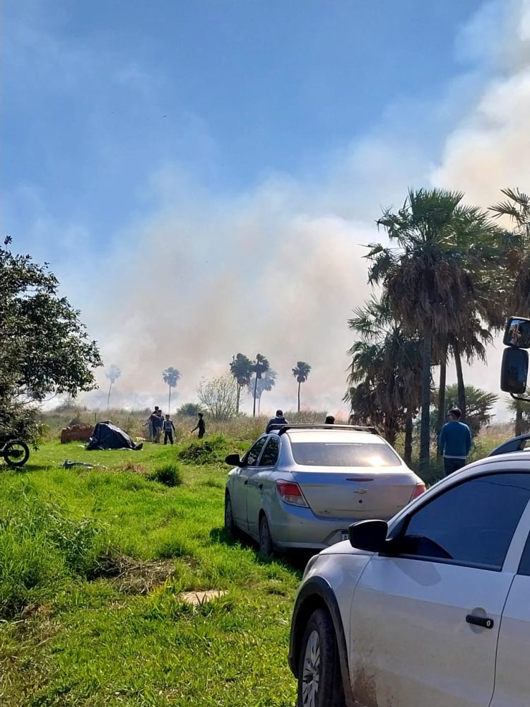 Bomberos extinguió un incendio de pastizales y campo (video de drone)