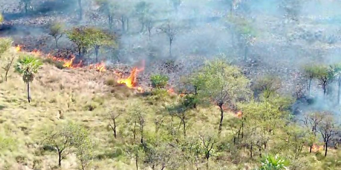 Bomberos extinguió un incendio de pastizales y campo (video de drone)