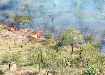 Bomberos extinguió un incendio de pastizales y campo (video de drone)
