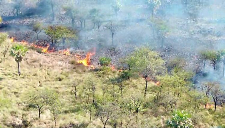 Bomberos extinguió un incendio de pastizales y campo (video de drone)
